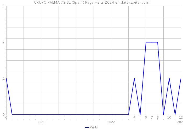 GRUPO PALMA 79 SL (Spain) Page visits 2024 