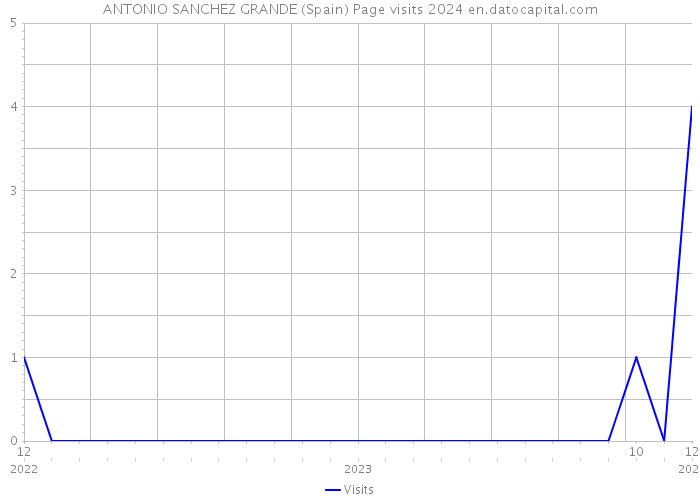 ANTONIO SANCHEZ GRANDE (Spain) Page visits 2024 