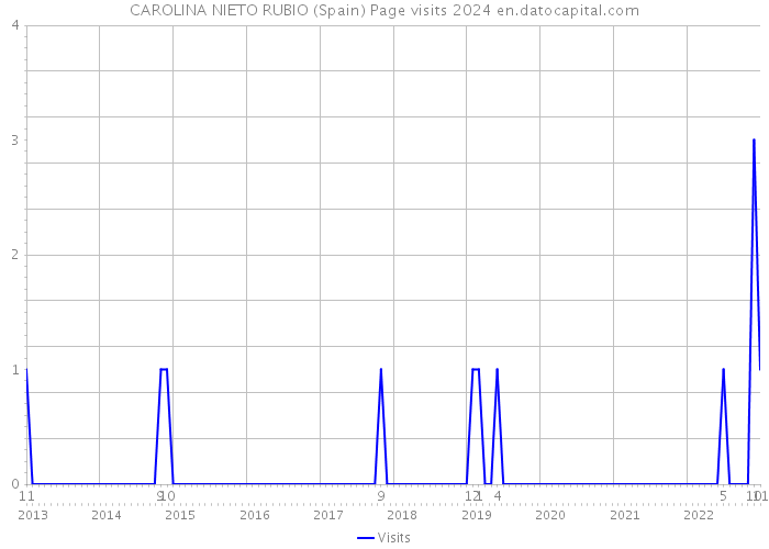 CAROLINA NIETO RUBIO (Spain) Page visits 2024 
