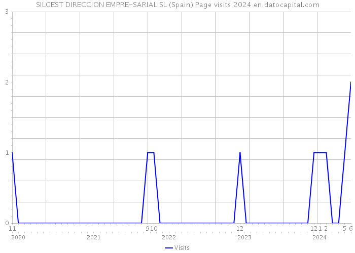 SILGEST DIRECCION EMPRE-SARIAL SL (Spain) Page visits 2024 