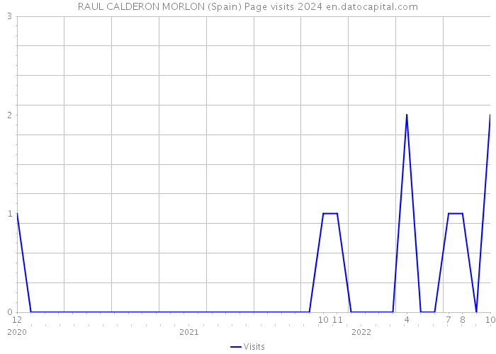 RAUL CALDERON MORLON (Spain) Page visits 2024 