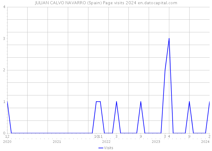 JULIAN CALVO NAVARRO (Spain) Page visits 2024 