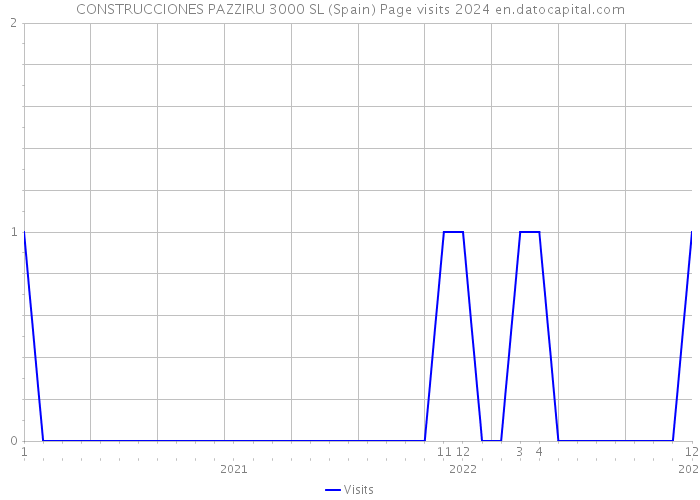 CONSTRUCCIONES PAZZIRU 3000 SL (Spain) Page visits 2024 