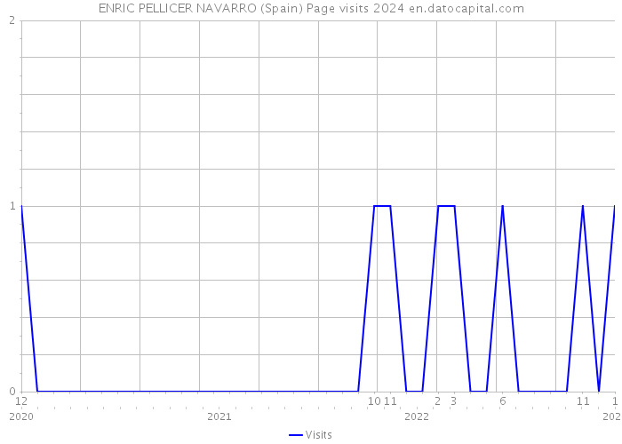 ENRIC PELLICER NAVARRO (Spain) Page visits 2024 