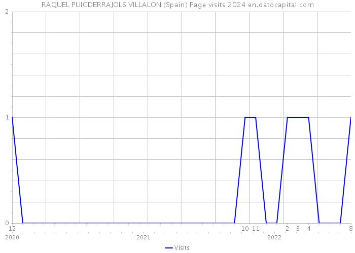 RAQUEL PUIGDERRAJOLS VILLALON (Spain) Page visits 2024 