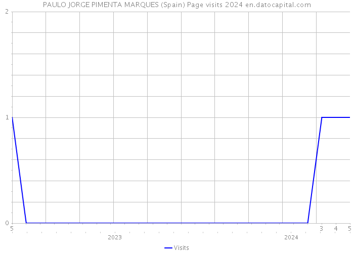 PAULO JORGE PIMENTA MARQUES (Spain) Page visits 2024 