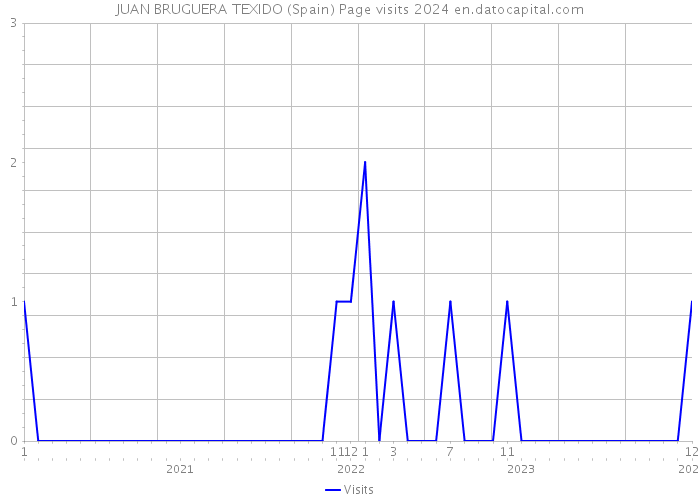 JUAN BRUGUERA TEXIDO (Spain) Page visits 2024 