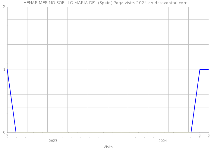 HENAR MERINO BOBILLO MARIA DEL (Spain) Page visits 2024 