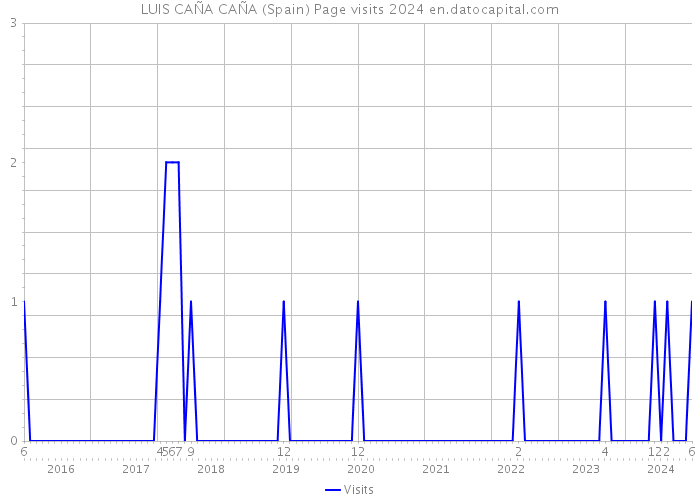 LUIS CAÑA CAÑA (Spain) Page visits 2024 