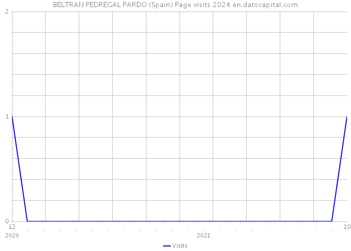 BELTRAN PEDREGAL PARDO (Spain) Page visits 2024 