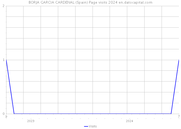 BORJA GARCIA CARDENAL (Spain) Page visits 2024 