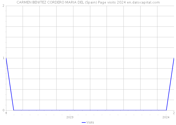 CARMEN BENITEZ CORDERO MARIA DEL (Spain) Page visits 2024 