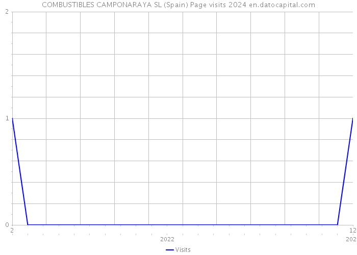 COMBUSTIBLES CAMPONARAYA SL (Spain) Page visits 2024 