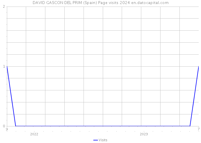 DAVID GASCON DEL PRIM (Spain) Page visits 2024 