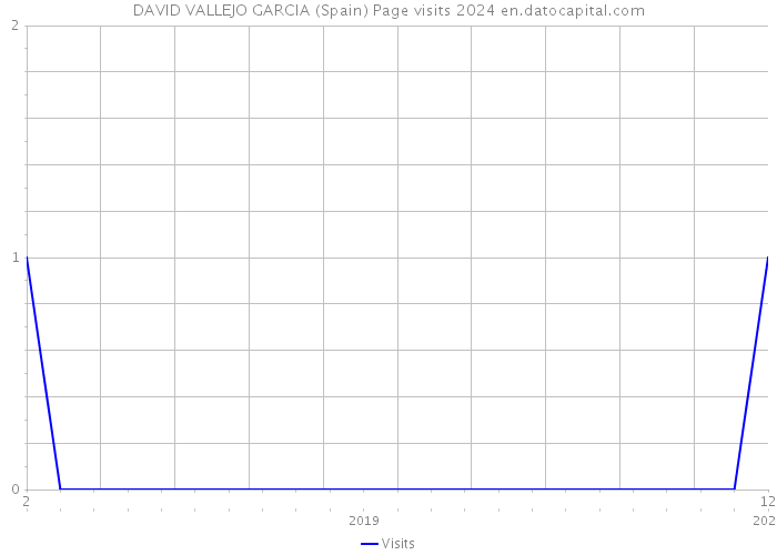 DAVID VALLEJO GARCIA (Spain) Page visits 2024 