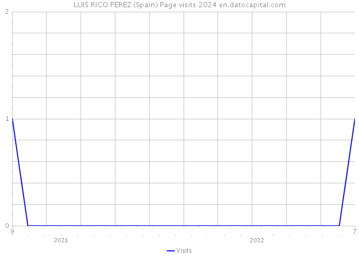 LUIS RICO PEREZ (Spain) Page visits 2024 