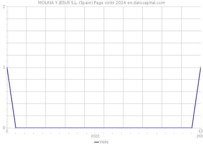 MOLINA Y JESUS S.L. (Spain) Page visits 2024 