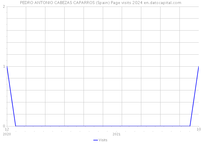 PEDRO ANTONIO CABEZAS CAPARROS (Spain) Page visits 2024 