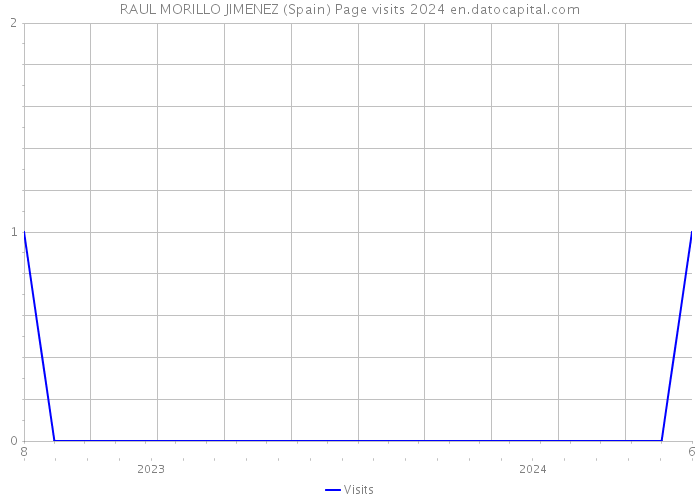RAUL MORILLO JIMENEZ (Spain) Page visits 2024 