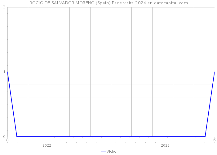 ROCIO DE SALVADOR MORENO (Spain) Page visits 2024 