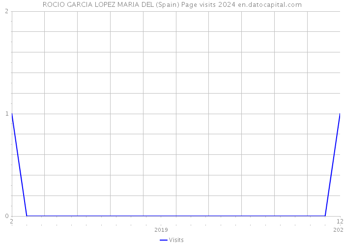 ROCIO GARCIA LOPEZ MARIA DEL (Spain) Page visits 2024 