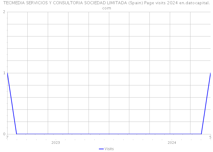 TECMEDIA SERVICIOS Y CONSULTORIA SOCIEDAD LIMITADA (Spain) Page visits 2024 