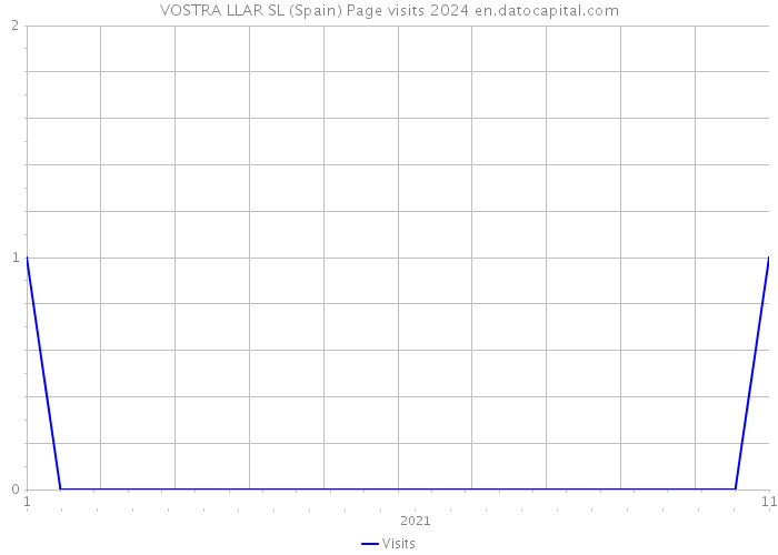 VOSTRA LLAR SL (Spain) Page visits 2024 
