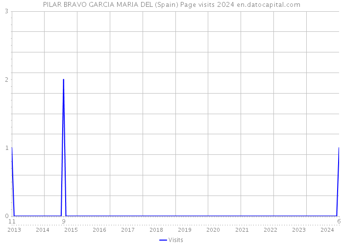 PILAR BRAVO GARCIA MARIA DEL (Spain) Page visits 2024 