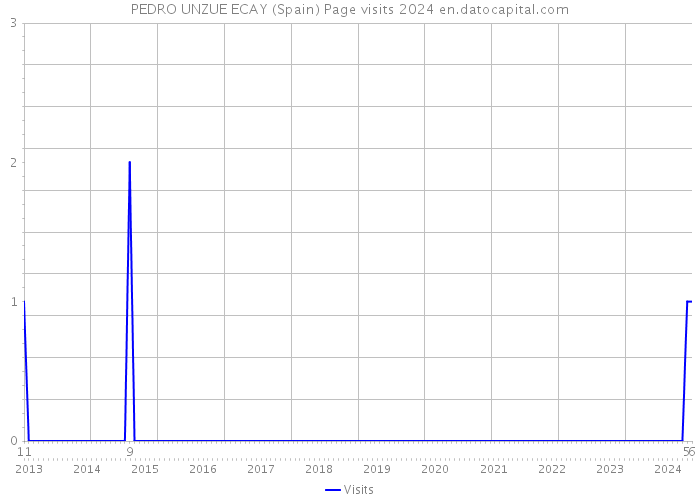 PEDRO UNZUE ECAY (Spain) Page visits 2024 