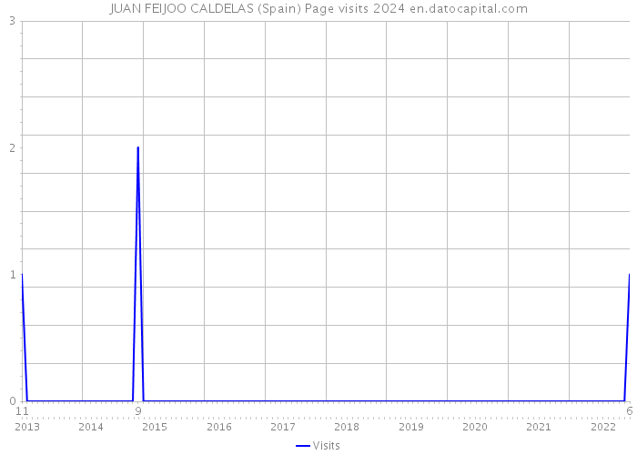 JUAN FEIJOO CALDELAS (Spain) Page visits 2024 