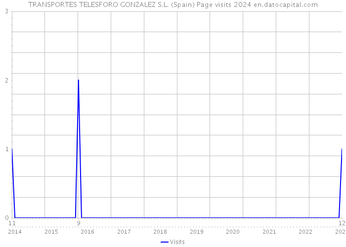 TRANSPORTES TELESFORO GONZALEZ S.L. (Spain) Page visits 2024 