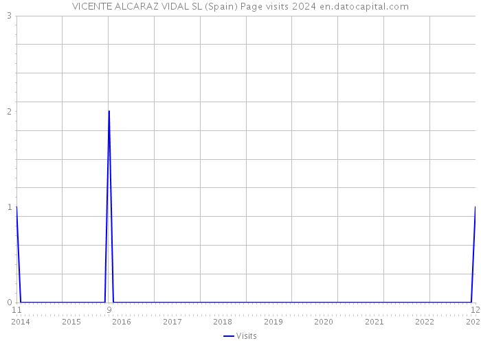 VICENTE ALCARAZ VIDAL SL (Spain) Page visits 2024 