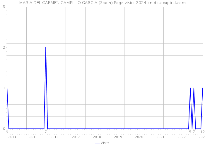 MARIA DEL CARMEN CAMPILLO GARCIA (Spain) Page visits 2024 