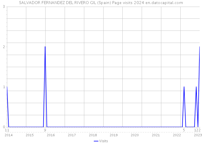 SALVADOR FERNANDEZ DEL RIVERO GIL (Spain) Page visits 2024 