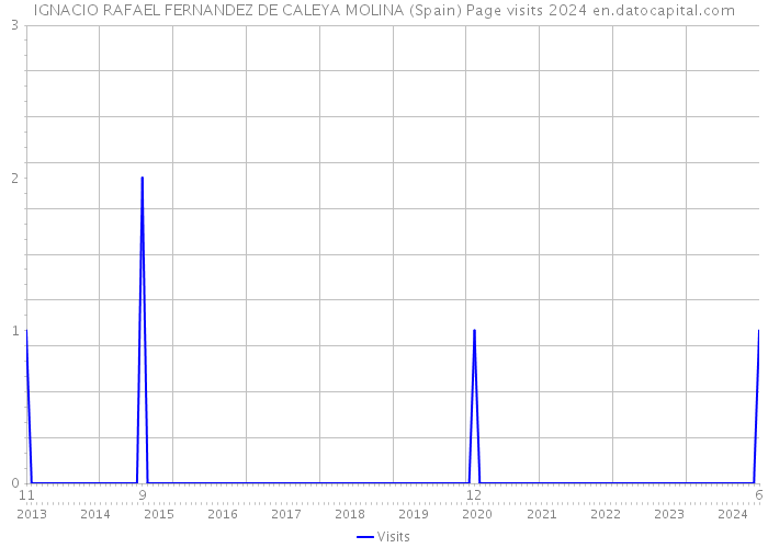 IGNACIO RAFAEL FERNANDEZ DE CALEYA MOLINA (Spain) Page visits 2024 