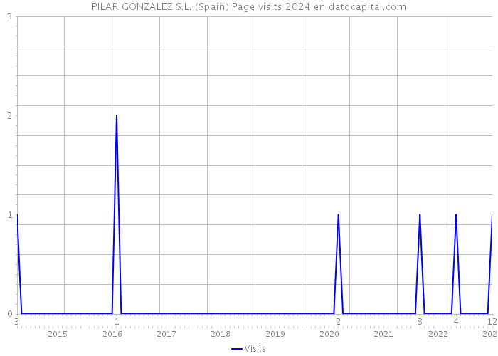 PILAR GONZALEZ S.L. (Spain) Page visits 2024 
