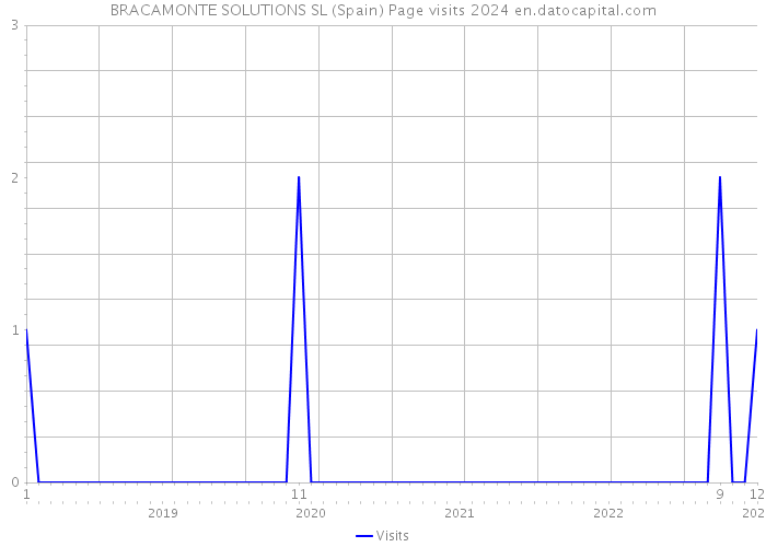 BRACAMONTE SOLUTIONS SL (Spain) Page visits 2024 