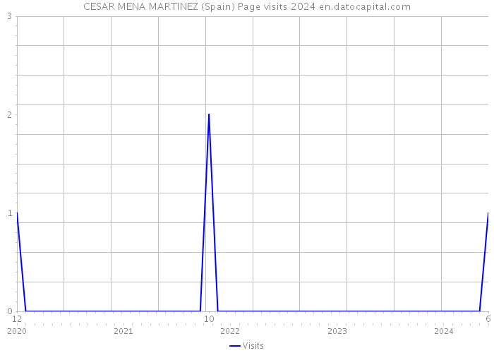 CESAR MENA MARTINEZ (Spain) Page visits 2024 
