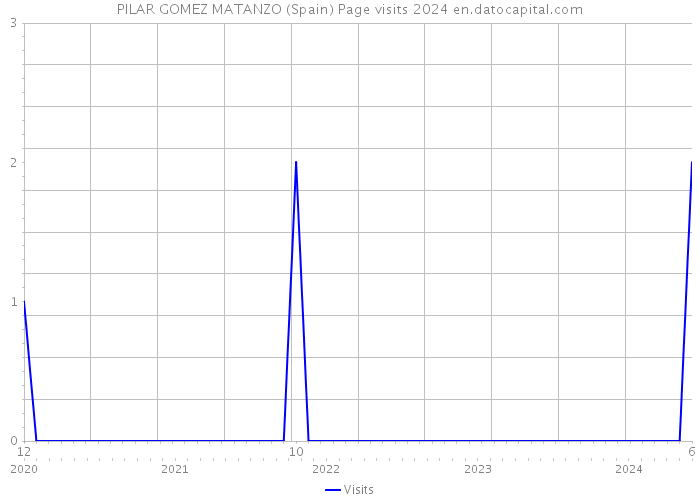 PILAR GOMEZ MATANZO (Spain) Page visits 2024 