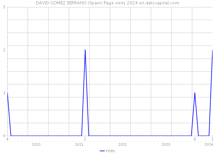 DAVID GOMEZ SERRANO (Spain) Page visits 2024 