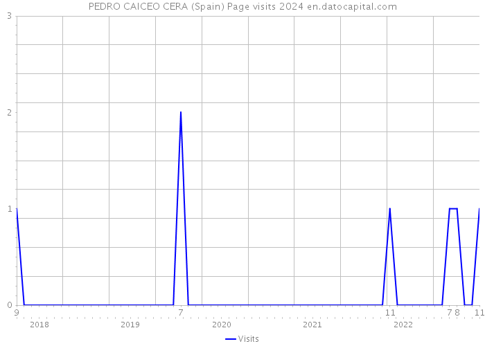 PEDRO CAICEO CERA (Spain) Page visits 2024 