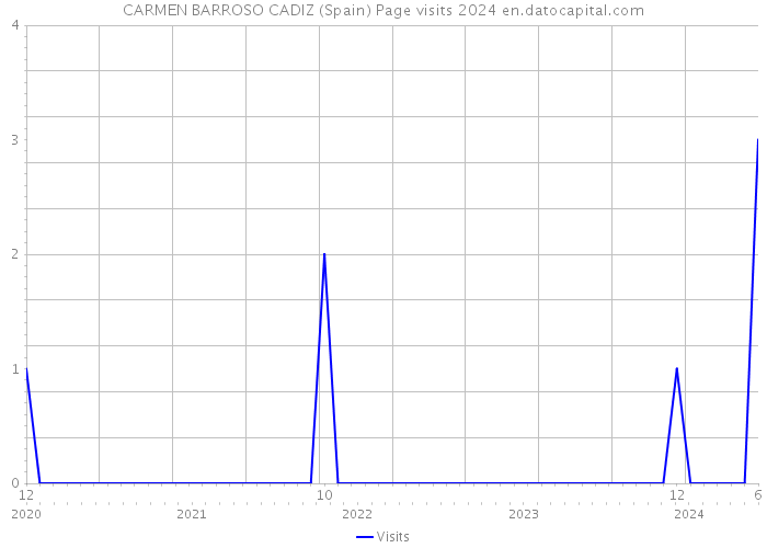 CARMEN BARROSO CADIZ (Spain) Page visits 2024 