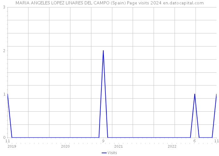 MARIA ANGELES LOPEZ LINARES DEL CAMPO (Spain) Page visits 2024 