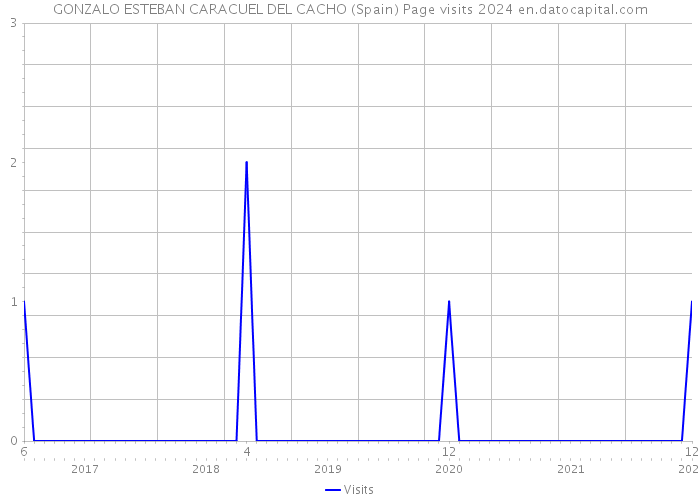GONZALO ESTEBAN CARACUEL DEL CACHO (Spain) Page visits 2024 