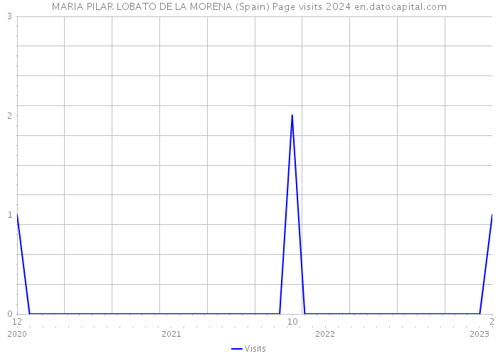 MARIA PILAR LOBATO DE LA MORENA (Spain) Page visits 2024 