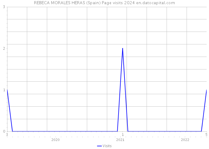 REBECA MORALES HERAS (Spain) Page visits 2024 
