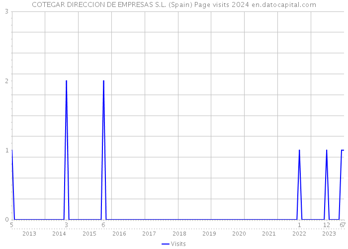 COTEGAR DIRECCION DE EMPRESAS S.L. (Spain) Page visits 2024 