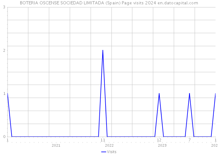 BOTERIA OSCENSE SOCIEDAD LIMITADA (Spain) Page visits 2024 