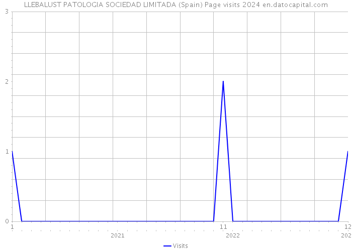 LLEBALUST PATOLOGIA SOCIEDAD LIMITADA (Spain) Page visits 2024 