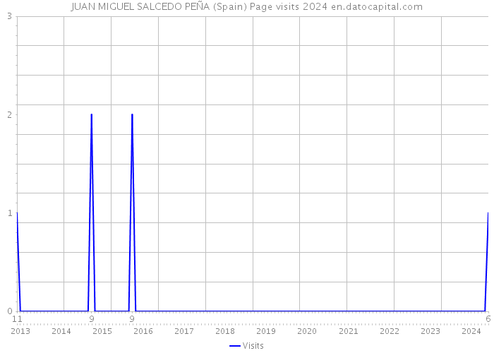JUAN MIGUEL SALCEDO PEÑA (Spain) Page visits 2024 